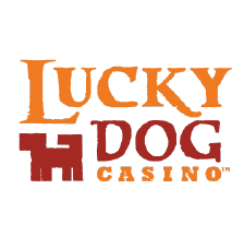 Large lucky dog